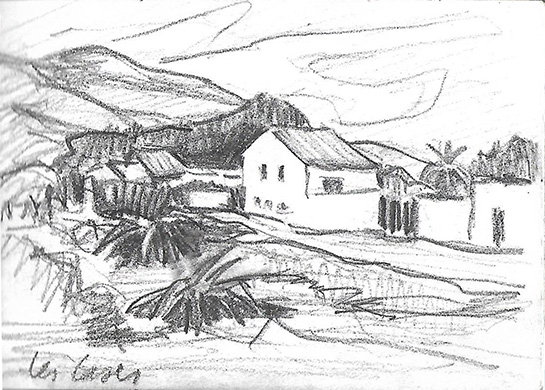 Camí del Virol