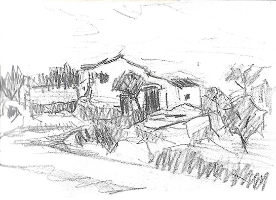 Camí del Virol