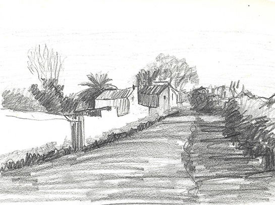 Camí del Virol. Les Cases d'Alcanar