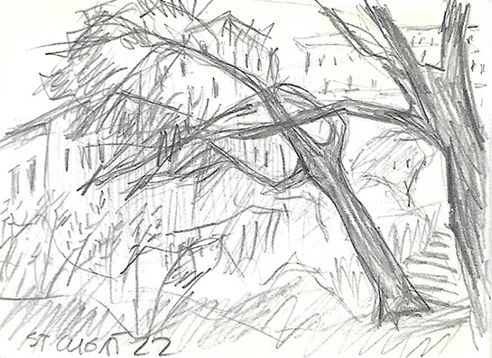 Ventada al Parc del Monestir